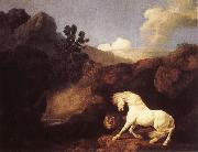 George Stubbs Hasta who become skramd of a lion Spain oil painting artist